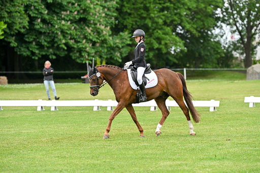  | 30052025 Dressur  (1387) 