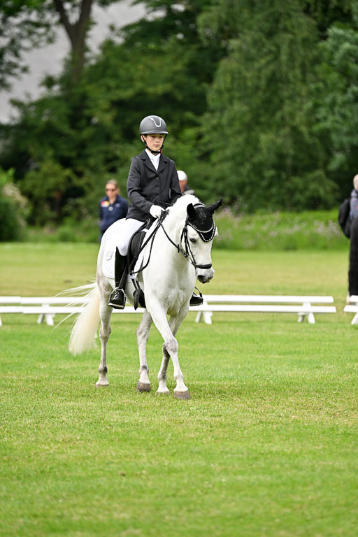  | 30052025 Dressur  (1406) 