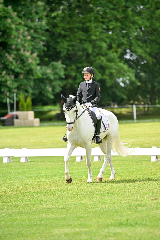  | 30052025 Dressur  (1407) 