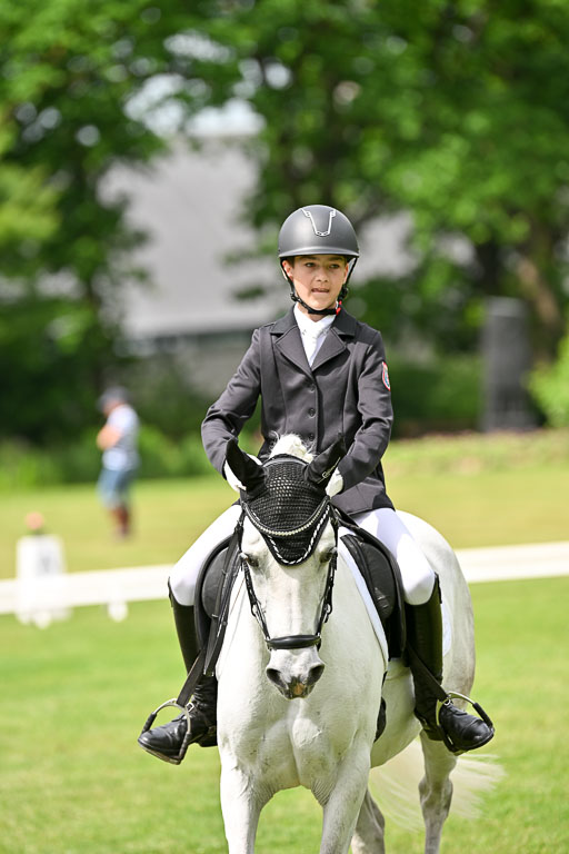  | 30052025 Dressur  (1411) 