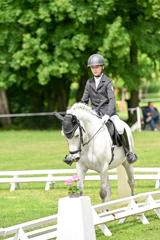  | 30052025 Dressur  (1416) 