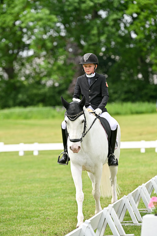  | 30052025 Dressur  (1417) 