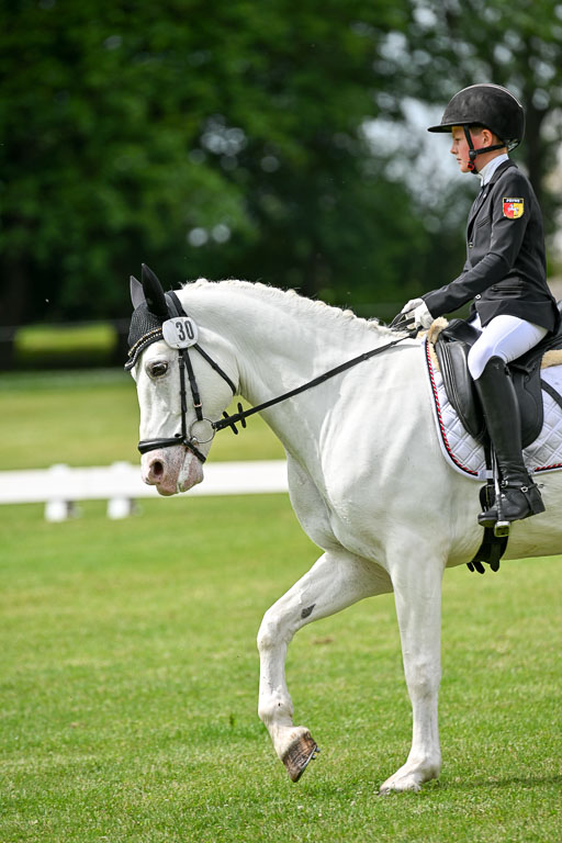  | 30052025 Dressur  (1425) 