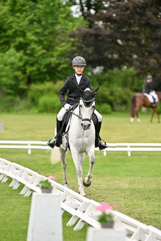  | 30052025 Dressur  (1427) 