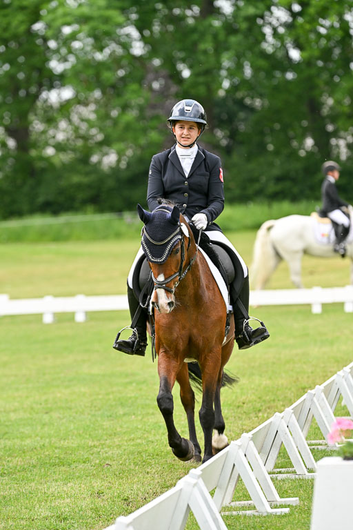  | 30052025 Dressur  (1436) 