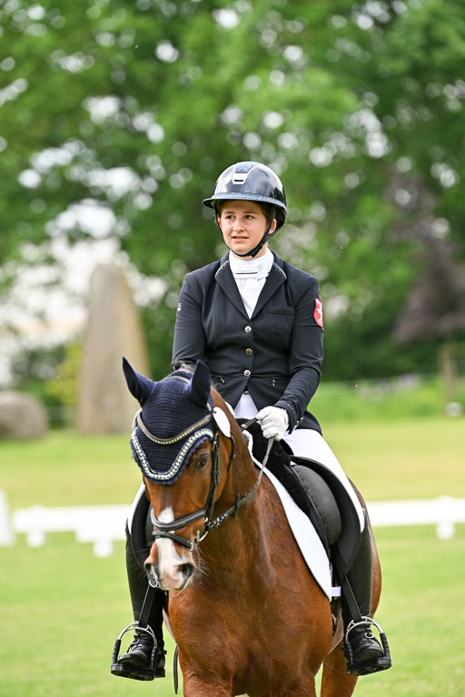  | 30052025 Dressur  (1437) 