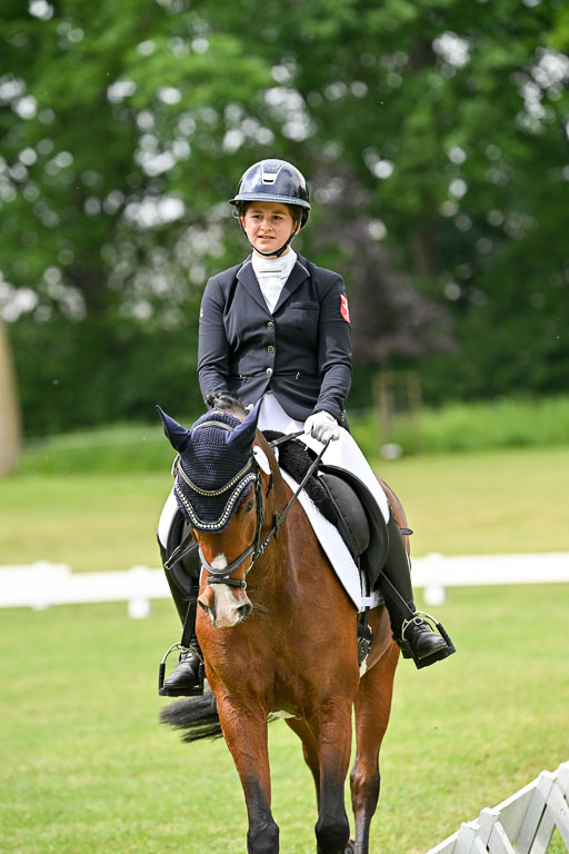  | 30052025 Dressur  (1439) 