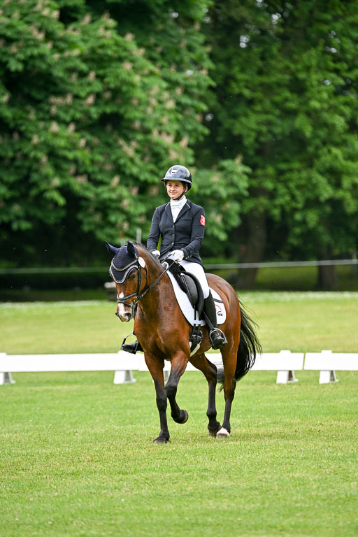  | 30052025 Dressur  (1442) 