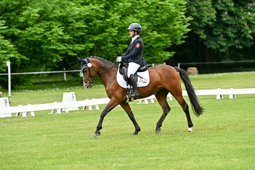  | 30052025 Dressur  (1447) 