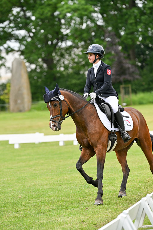  | 30052025 Dressur  (1452) 