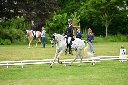  | 30052025 Dressur  (1454) 