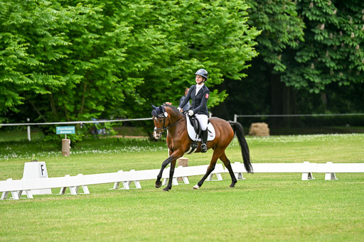  | 30052025 Dressur  (1455) 