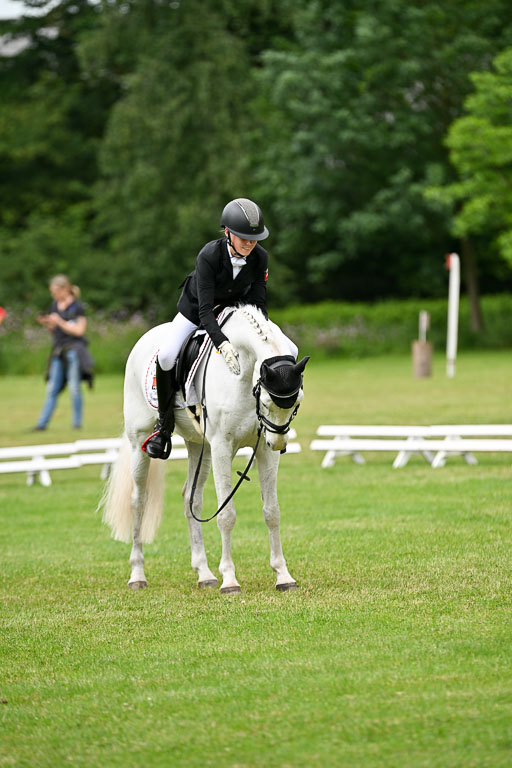  | 30052025 Dressur  (1461) 