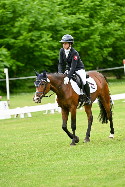  | 30052025 Dressur  (1465) 