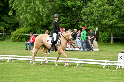  | 30052025 Dressur  (1466) 