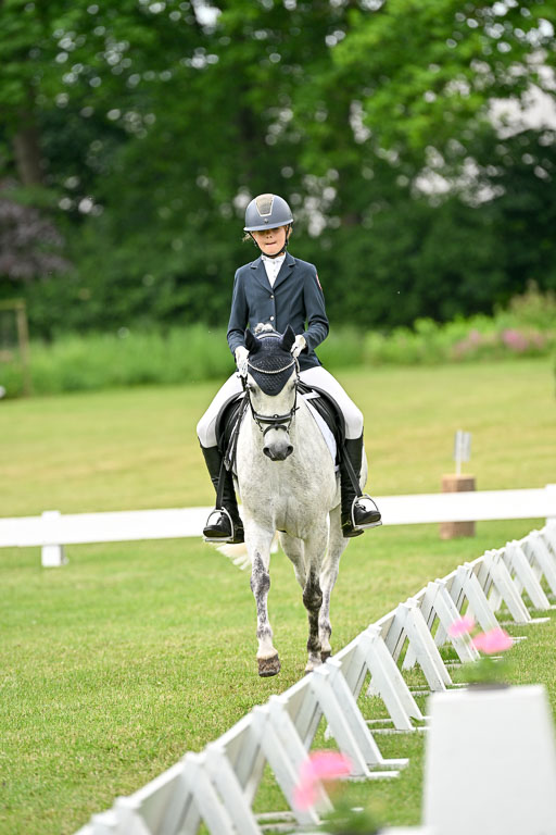  | 30052025 Dressur  (1468) 