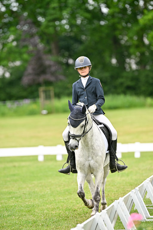  | 30052025 Dressur  (1469) 