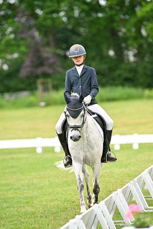  | 30052025 Dressur  (1470) 