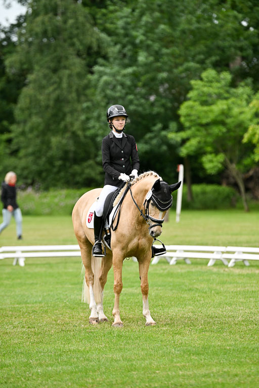  | 30052025 Dressur  (1473) 