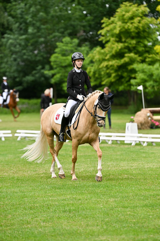  | 30052025 Dressur  (1474) 