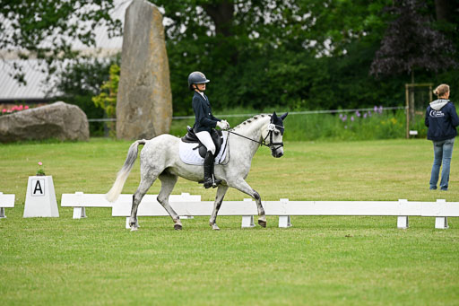  | 30052025 Dressur  (1479) 