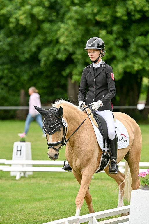  | 30052025 Dressur  (1482) 