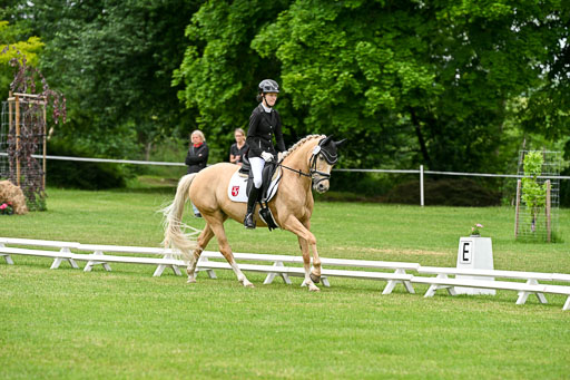  | 30052025 Dressur  (1484) 