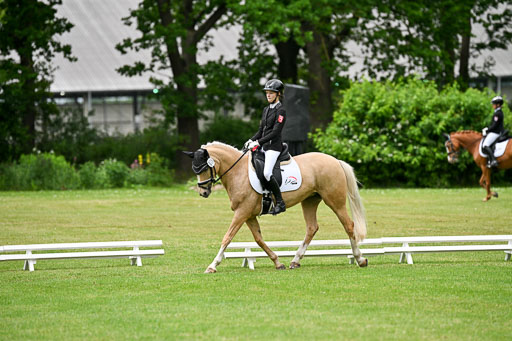  | 30052025 Dressur  (1486) 