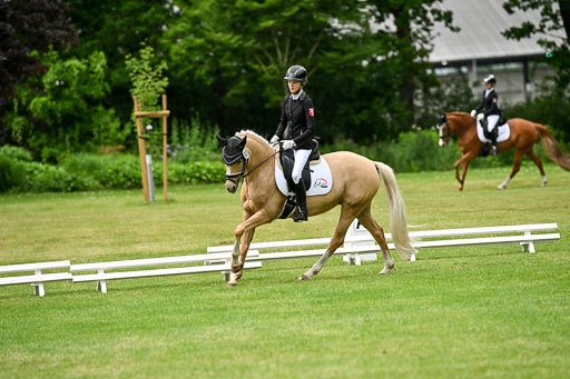  | 30052025 Dressur  (1488) 