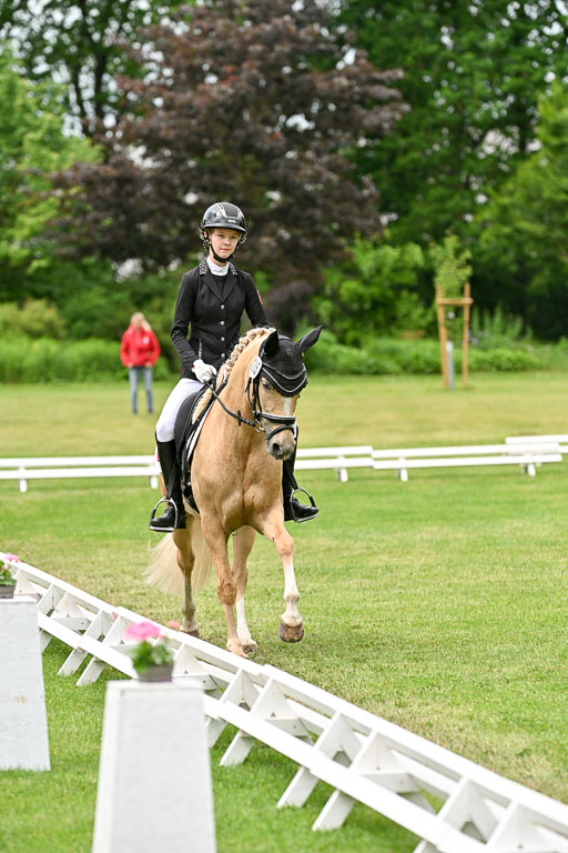  | 30052025 Dressur  (1493) 