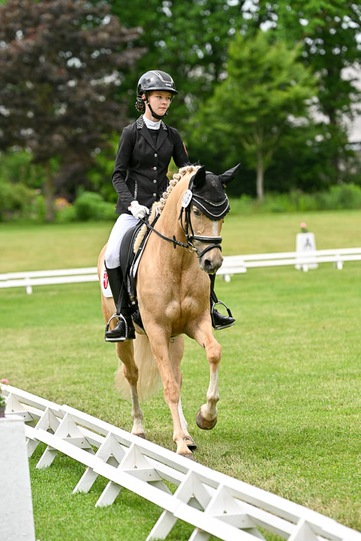  | 30052025 Dressur  (1495) 