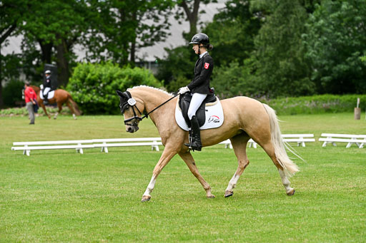  | 30052025 Dressur  (1496) 