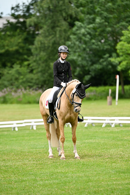  | 30052025 Dressur  (1497) 