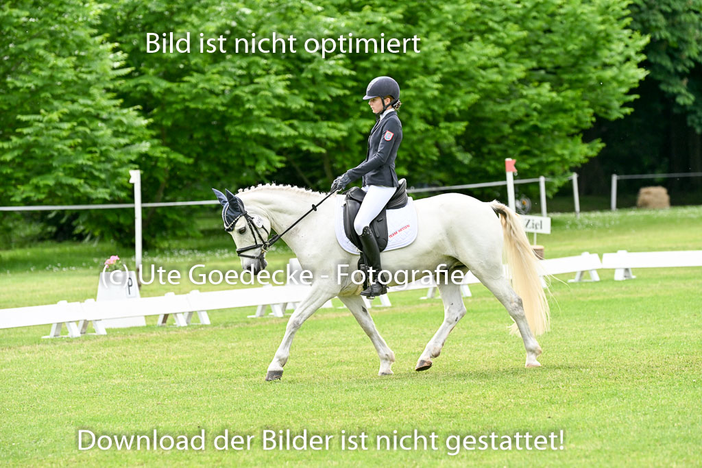  | 30052025 Dressur  (2032) 