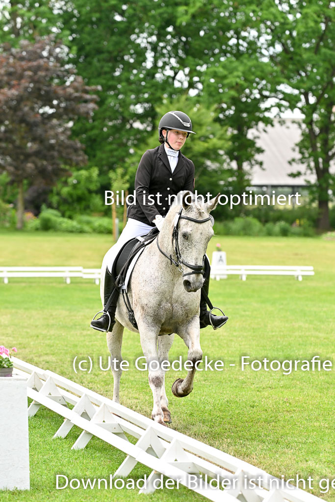  | 30052025 Dressur  (2050) 