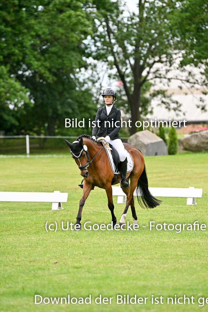  | 30052025 Dressur  (2067) 