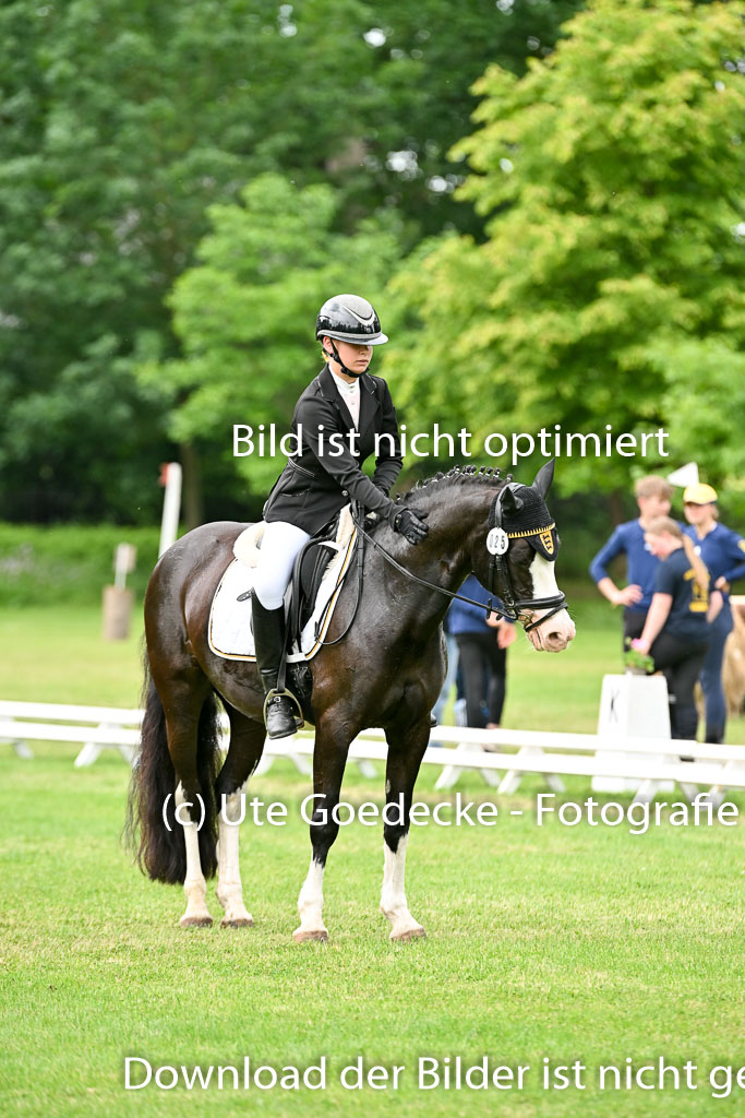  | 30052025 Dressur  (2091) 