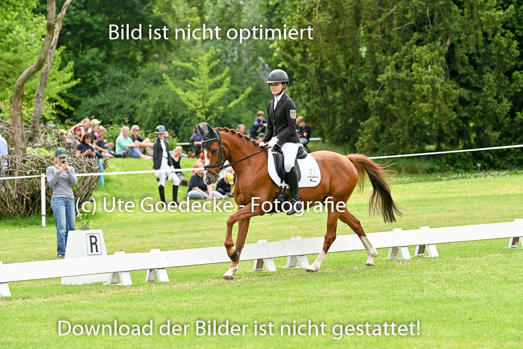  | 30052025 Dressur  (2136) 