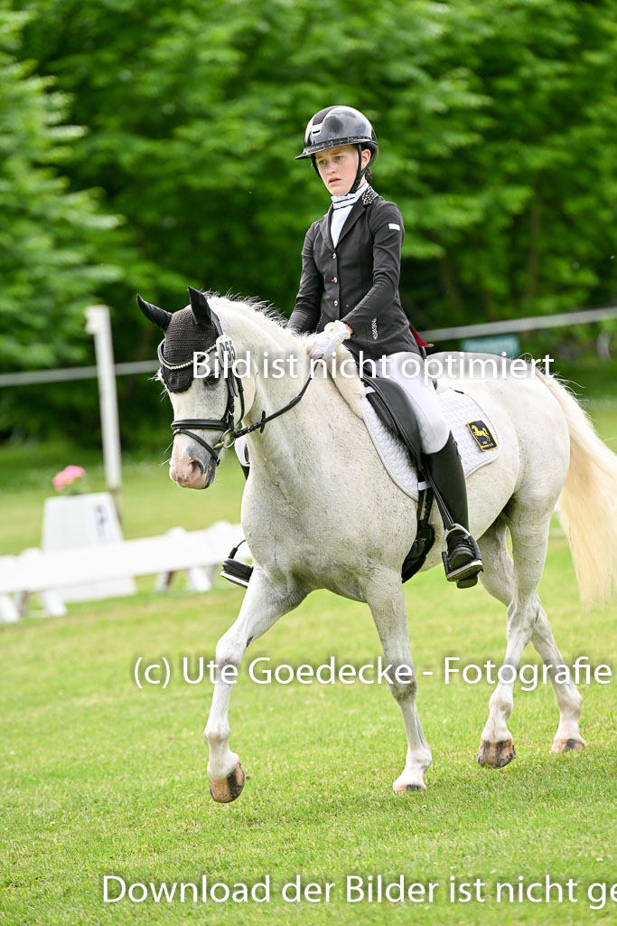  | 30052025 Dressur  (2154) 