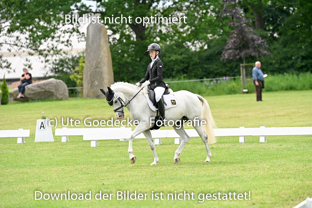  | 30052025 Dressur  (2155) 