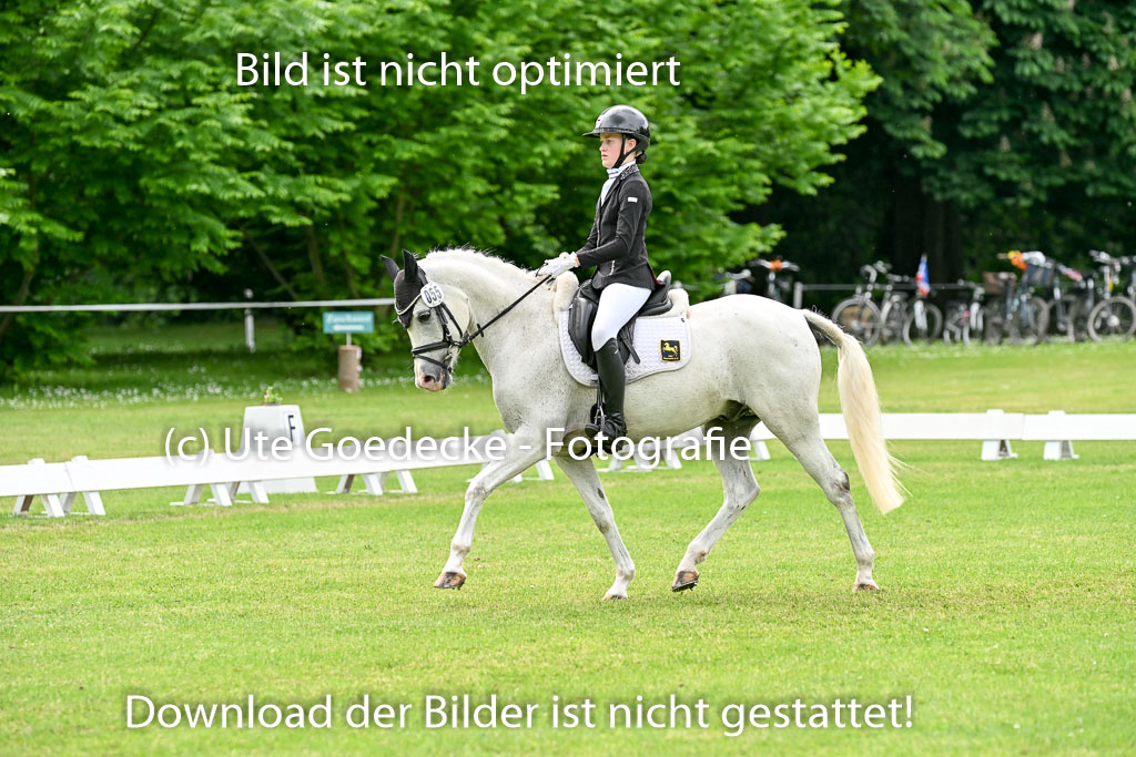 | 30052025 Dressur  (2158) 