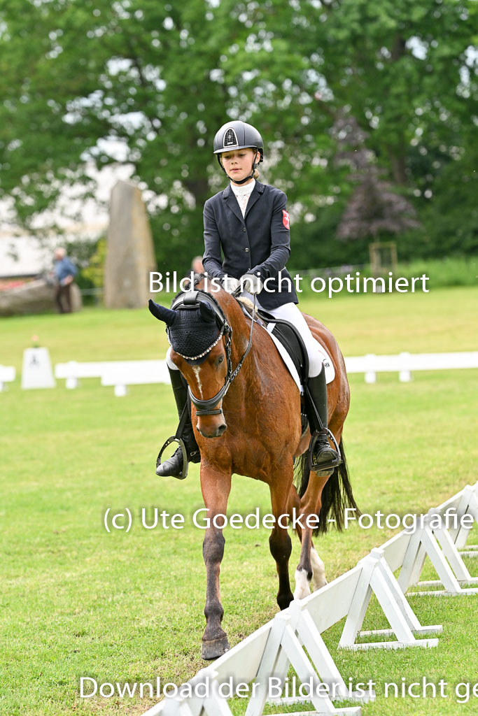  | 30052025 Dressur  (2188) 