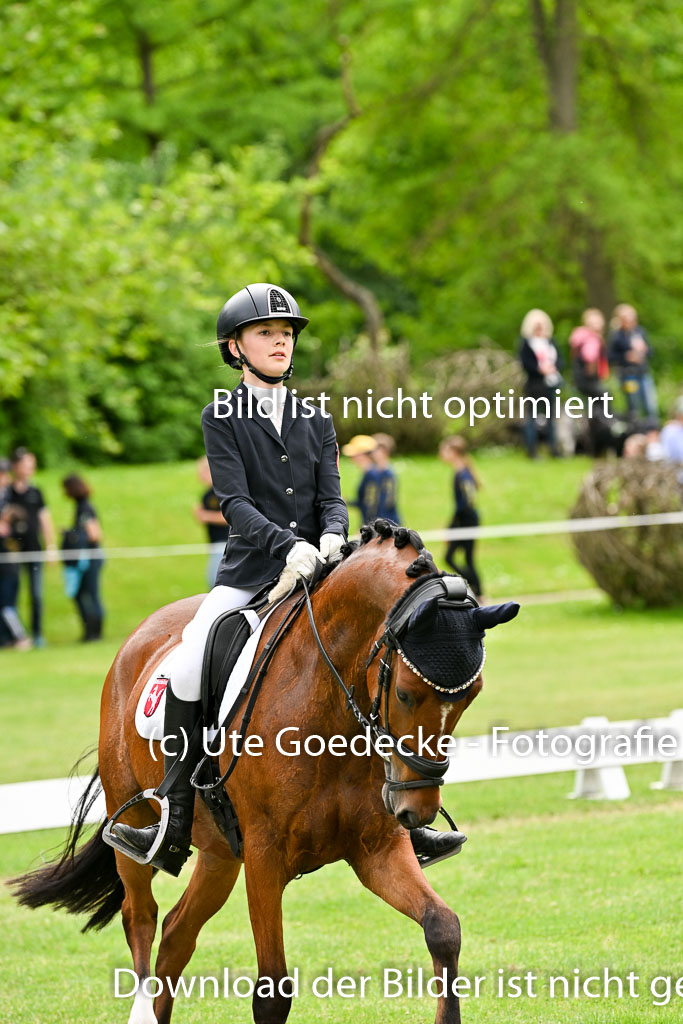  | 30052025 Dressur  (2193) 