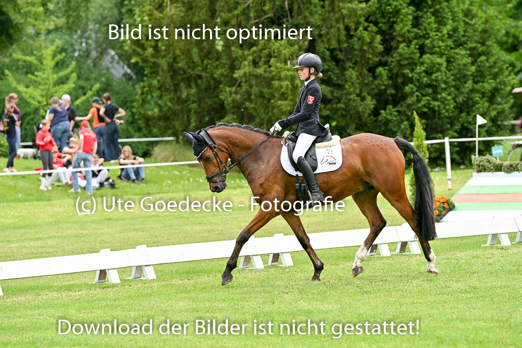  | 30052025 Dressur  (2204) 