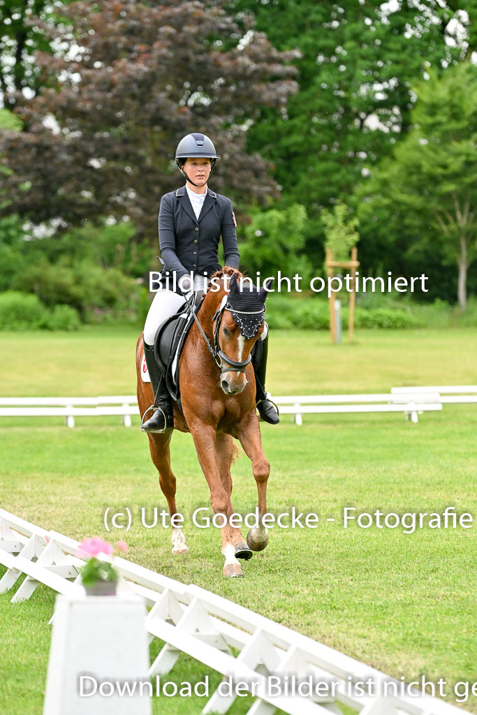 | 30052025 Dressur  (2214) 