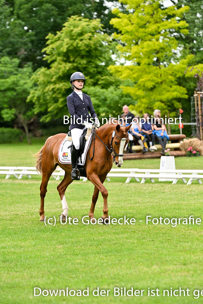  | 30052025 Dressur  (2228) 