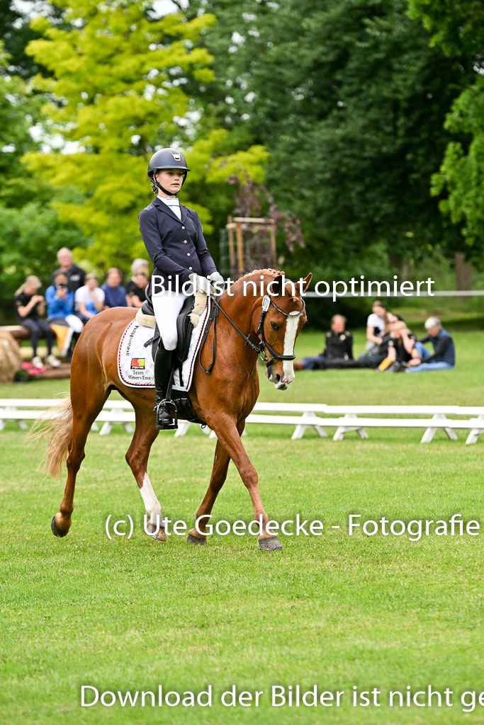  | 30052025 Dressur  (2229) 