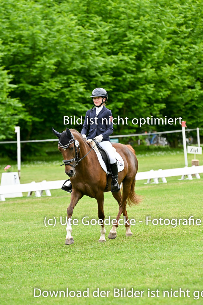  | 30052025 Dressur  (2230) 