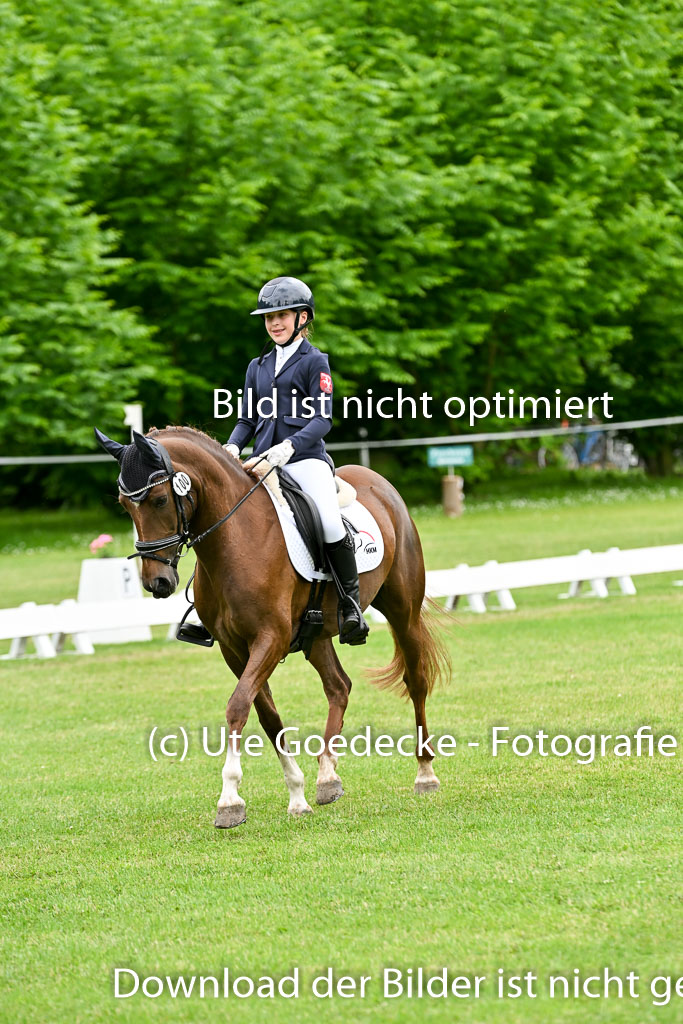  | 30052025 Dressur  (2232) 