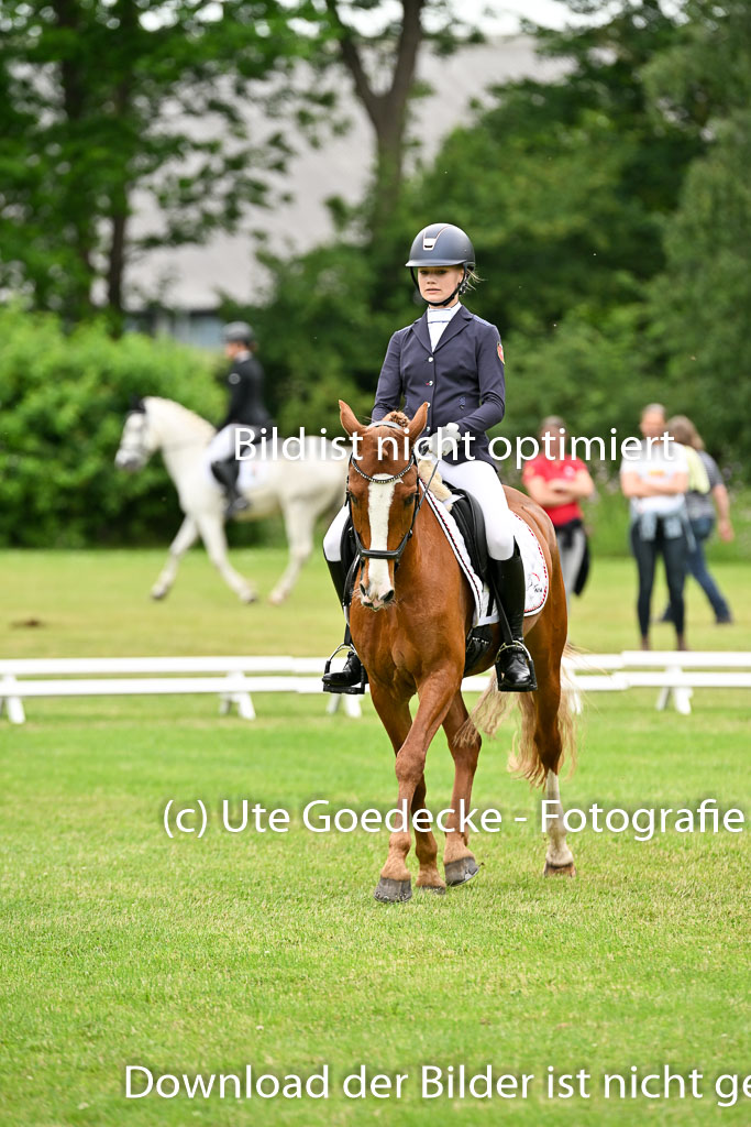  | 30052025 Dressur  (2233) 
